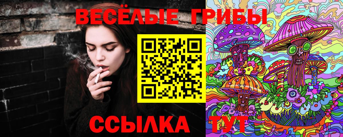 Галлюциногенные грибы Magic Shrooms Донской